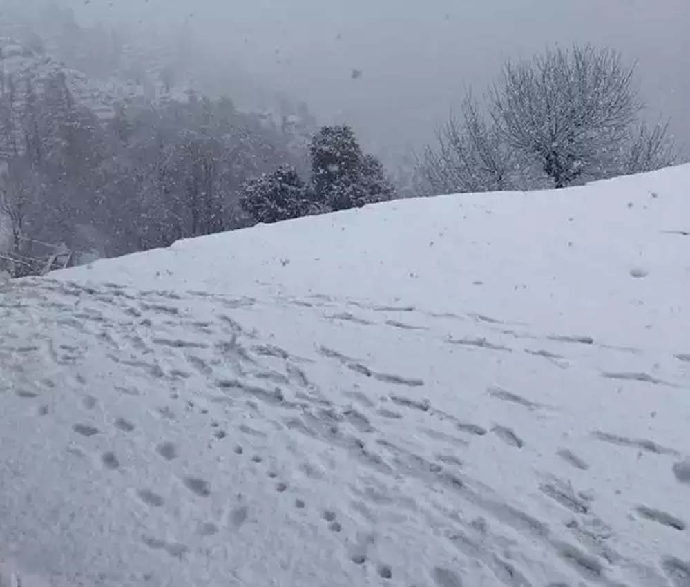 हिमाचल प्रदेश के कई जिलों में ताजा बर्फबारी, पहाड़ों पर बिछी सफेद चादर
