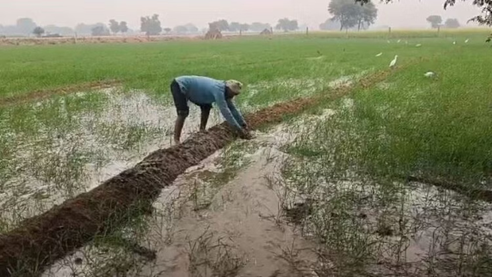 Rajasthan Weather Today: रुक-रुककर हुई बारिश से तापमान लुढ़का, मौसम विभाग ने जारी किया अलर्ट