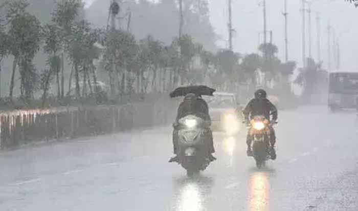 barish-25.jpg