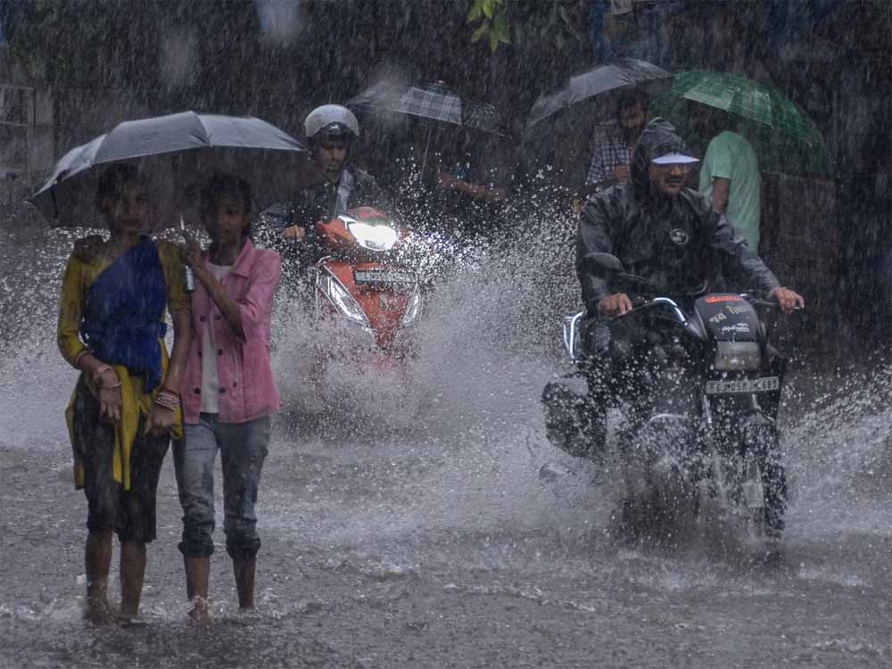 barish02.jpg