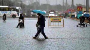 barish1-9.jpg