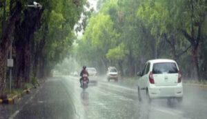 barish8-6.jpg
