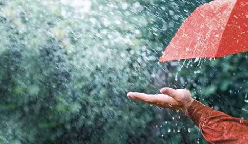 barish9-3.jpg