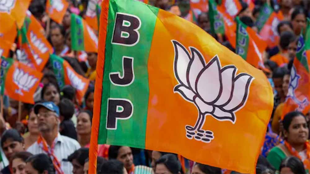 bjp1-1.jpg