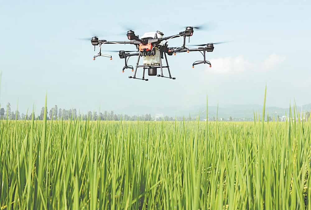 dron1-1.jpg