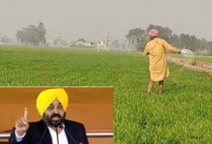 kisan1-4.jpg