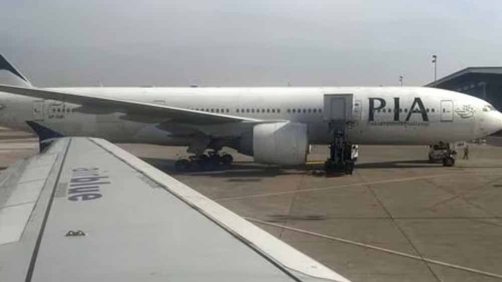 pia.jpg