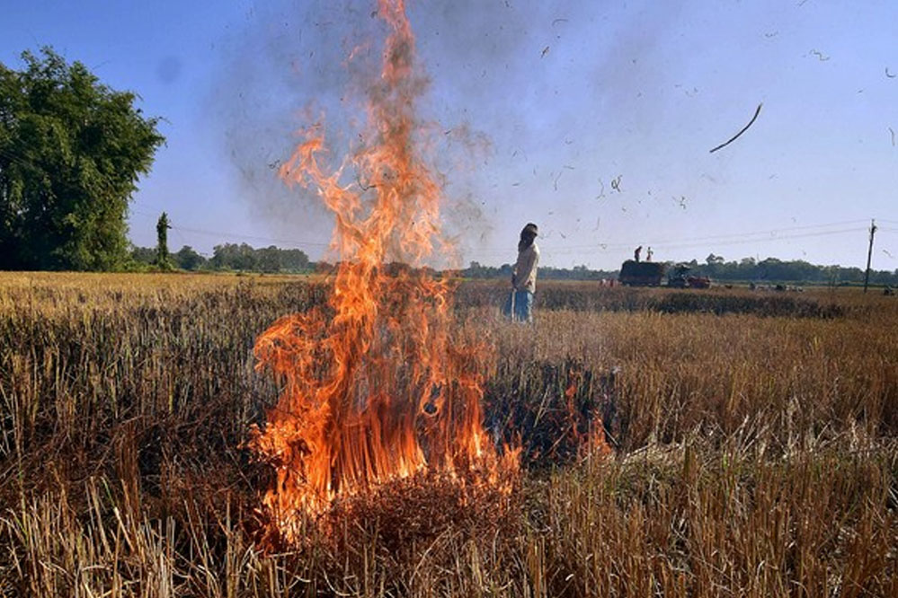 praali_fire77_3_16.jpg
