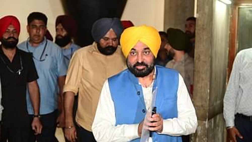 punjab_vi1.jpg
