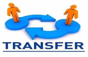 transfar-1.jpg