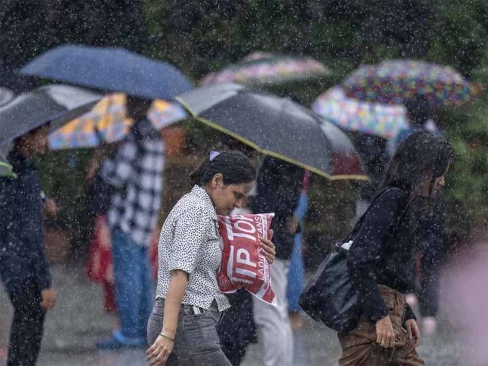 barish-13.jpg