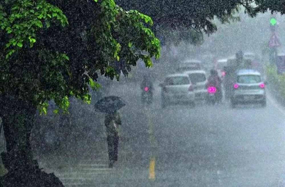 barish02.jpg