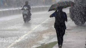 barish1-2.jpg