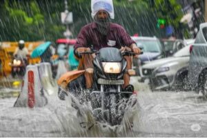 barish1-3.jpg
