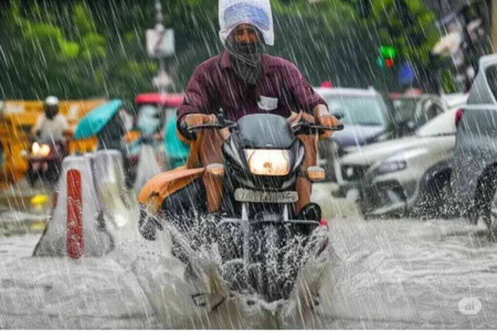 barish1-3.jpg