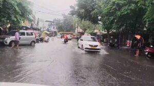 barish1-4.jpg