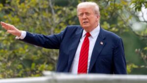 donald1-6.jpg