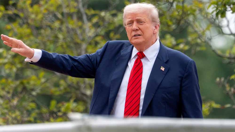 donald1-6.jpg