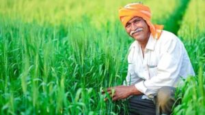 kisan1-3.jpg