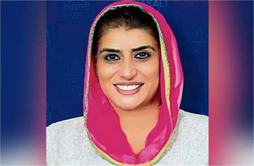 punjab_biji.jpg