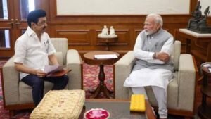 styleen_modi1.jpg