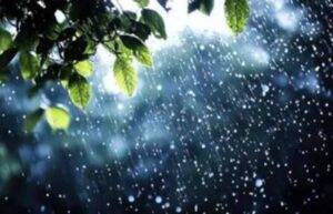 barish-18.jpg