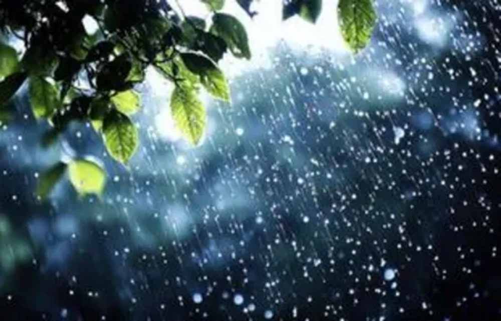 barish-18.jpg
