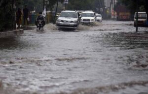 barish1-3.jpg
