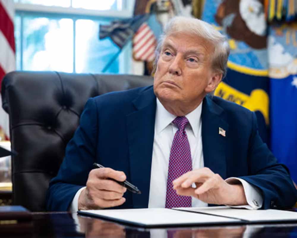 donald1-5.jpg