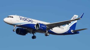 indigo1.jpg