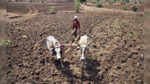 kisan1-2.jpg