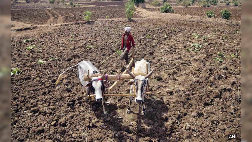 kisan1-2.jpg