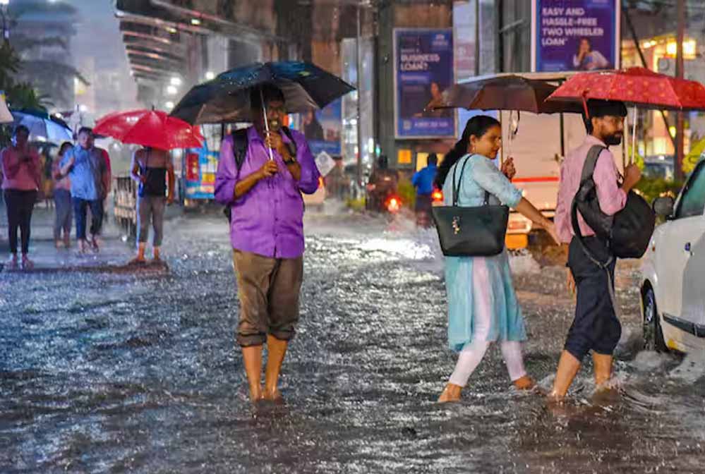 rain_A_36_6.jpg