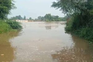 river1-1.jpg