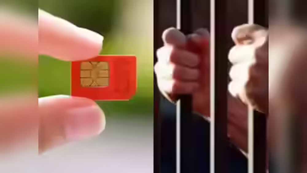 sim1.jpg