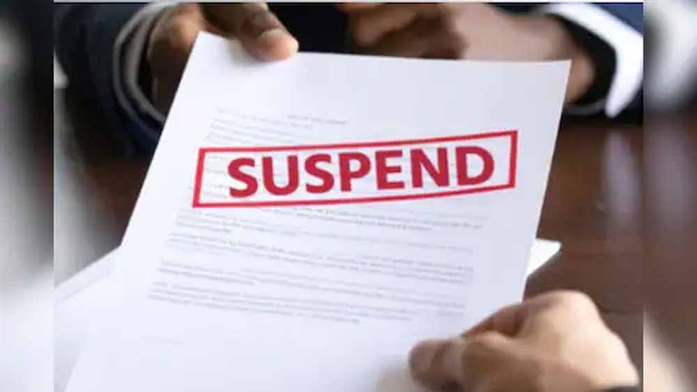 suspended1.jpg