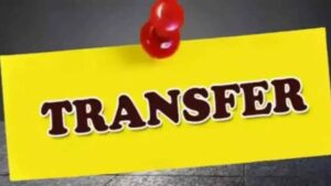 transfar-1.jpg