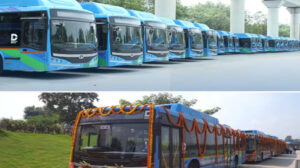 bus_81_3.jpg
