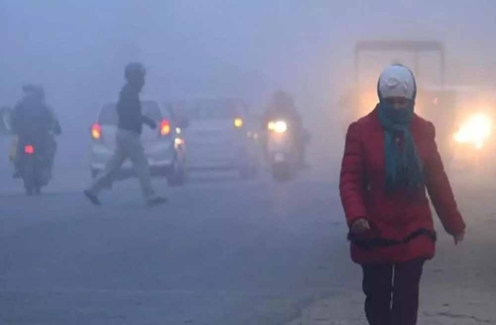 cold1-3.jpg