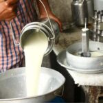 मध्य प्रदेश में दूध उत्पादकों को मिलेगा लाइसेंस, शुद्धता की निगरानी होगी सख्त