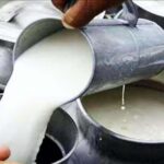 यूपी के डेयरी उत्पादों के निर्यात में 10% की अभूतपूर्व वृद्धि
