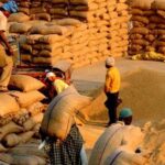 धान खरीद में छत्तीसगढ़ का ‘डेटा-संचालित मॉडल’, एआई तकनीक से बनी मिसाल