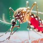 बस्तर में मलेरिया से निपटने की राष्ट्रीय तैयारी, मेडिकल कार्यशाला में बताए बचाव के उपाय