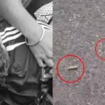 चंडीगढ़ में सनसनी: प्रॉपर्टी डीलर पर दिनदहाड़े 9 राउंड फायरिंग, इलाके में दहशत