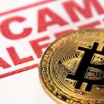 लुधियाना में 20 करोड़ की क्रिप्टो धोखाधड़ी, उद्योगपति से 15 बैंकों के 76 फर्जी खातों में जमा कराए पैसे