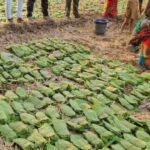 बालोद : मई के पहले सप्ताह से शुरू होगा तेंदुपत्ता संग्रहण का कार्य