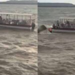 बरगी डैम में बड़ा हादसा: क्रूज पलटा, 4 की मौत; 14 को बचाया गया, रेस्क्यू जारी