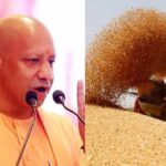 सरकार ने असमय बारिश से प्रभावित गेहूं पर दी राहत, पूरे प्रदेश में शिथिल मानकों के साथ होगी खरीद