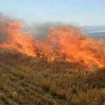 नरवाई जलाना खेत और सेहत दोनों के लिए हानिकारक : कृषि मंत्री कंषाना