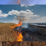 पंजाब में फिर धधके खेत, गेहूं के अवशेष जलाने के 44 मामले दर्ज, मंडी गोबिंदगढ़ का AQI खराब